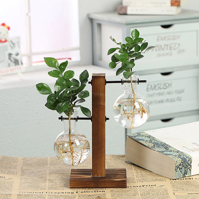Clear Hydroponic Plant Vase